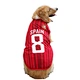 Ropa deportiva para perros para el verano